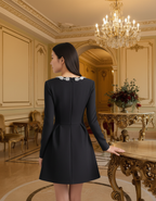 Embellished Neckline Dress